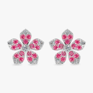 rubywhitegold14k
rubywhitegold18k