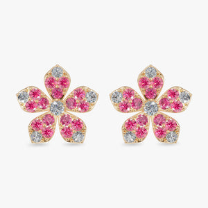 rubyyellowgold14k
rubyyellowgold18k